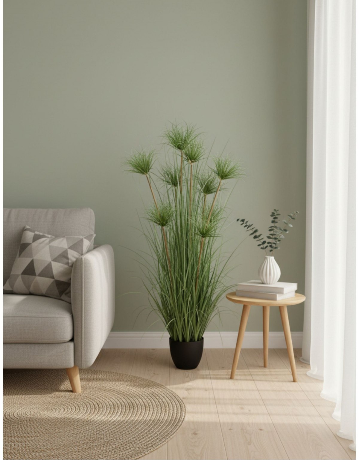 Pianta Papiro 9 steli con...