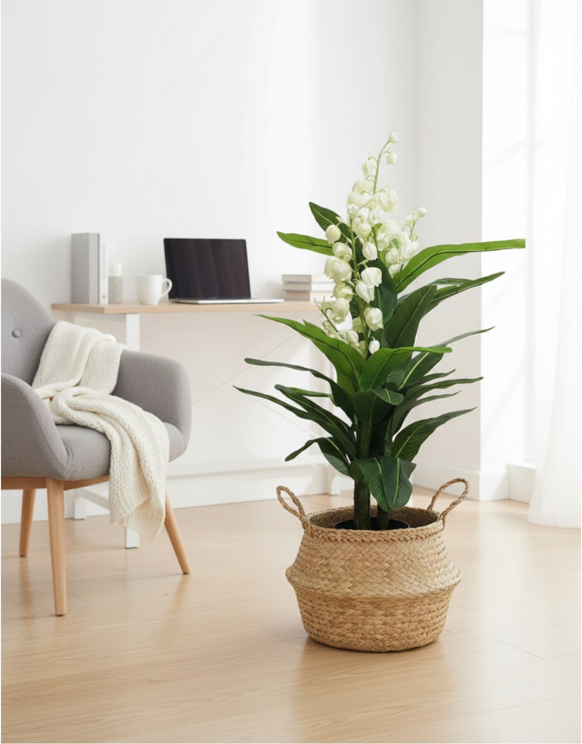 Pianta Yucca con Fiori con...