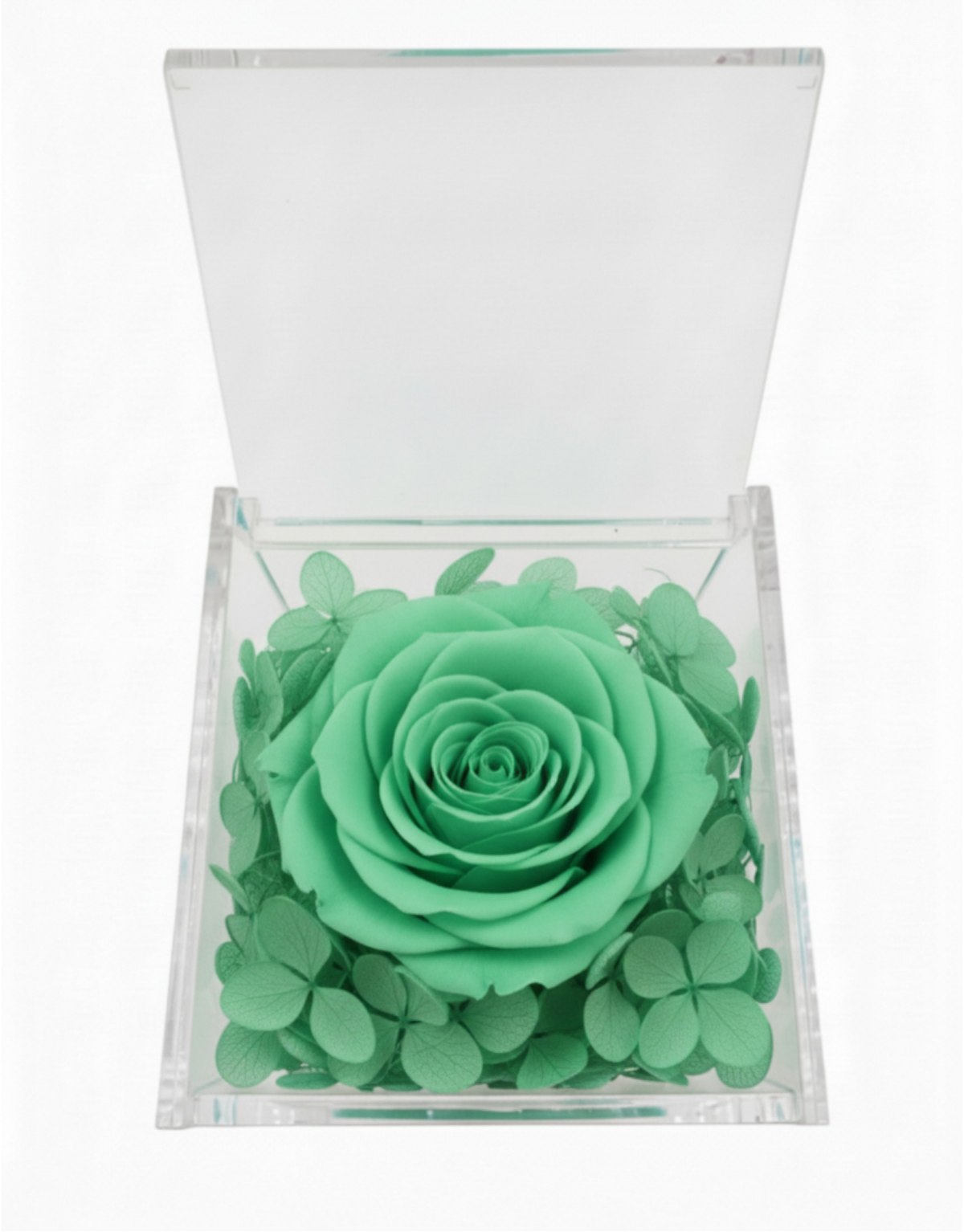 Rosa Stabilizzata Verde...