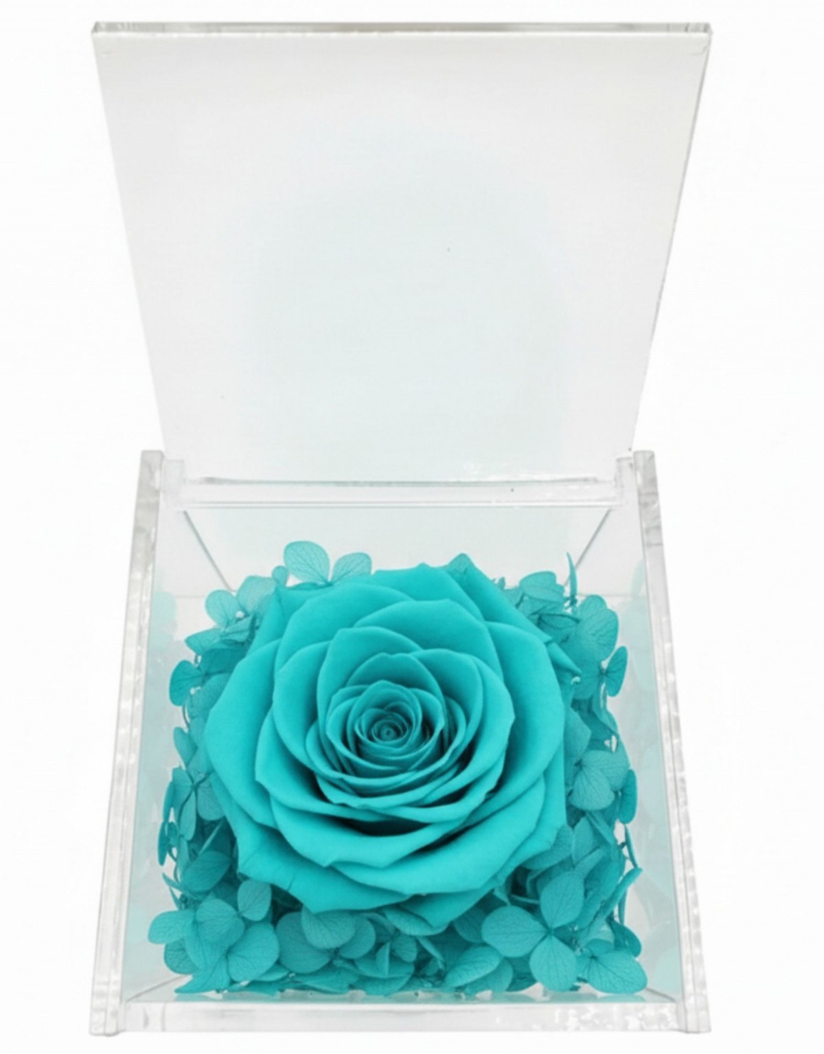 Rosa Stabilizzata Tiffany...