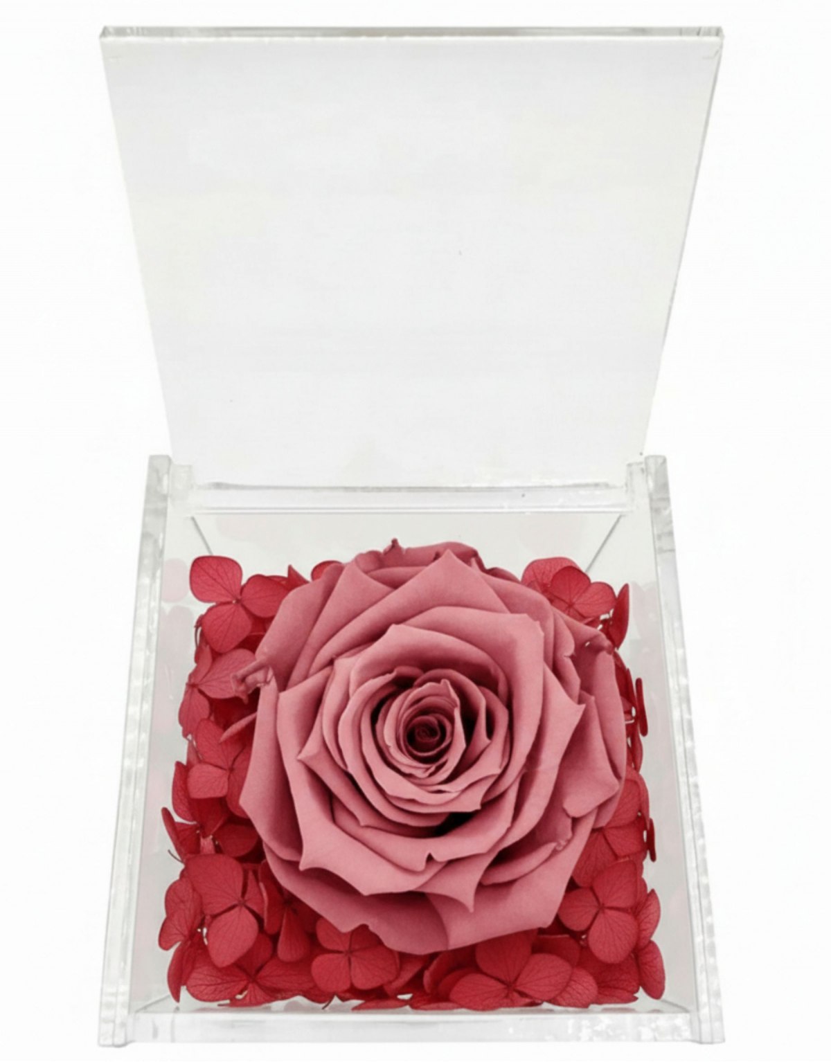 Rosa Stabilizzata Rosa Vino...